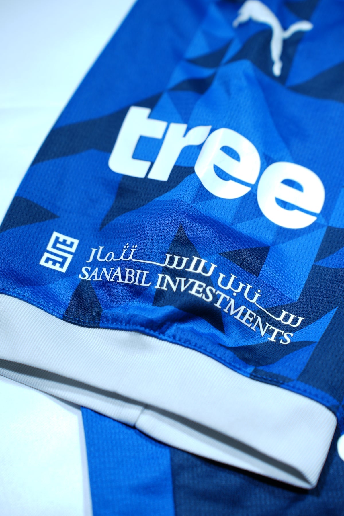 Al Hilal 2024-2025 Home Shirt (S)